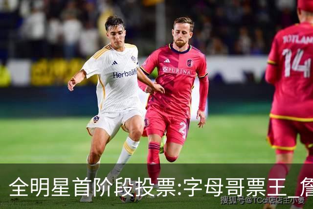 全明星首阶段投票:字母哥票王 詹姆斯西部票王